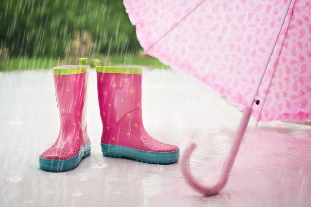 梅雨の写真